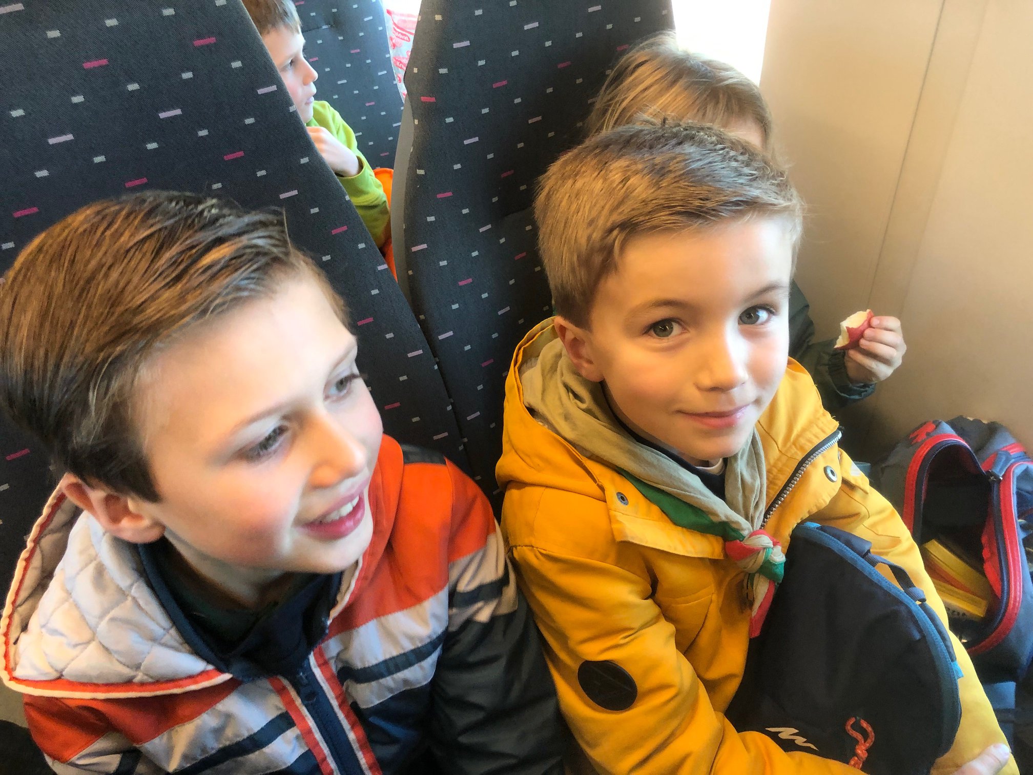 Sint-Martinus den XIIde - Zoo Antwerpen Kapoenen